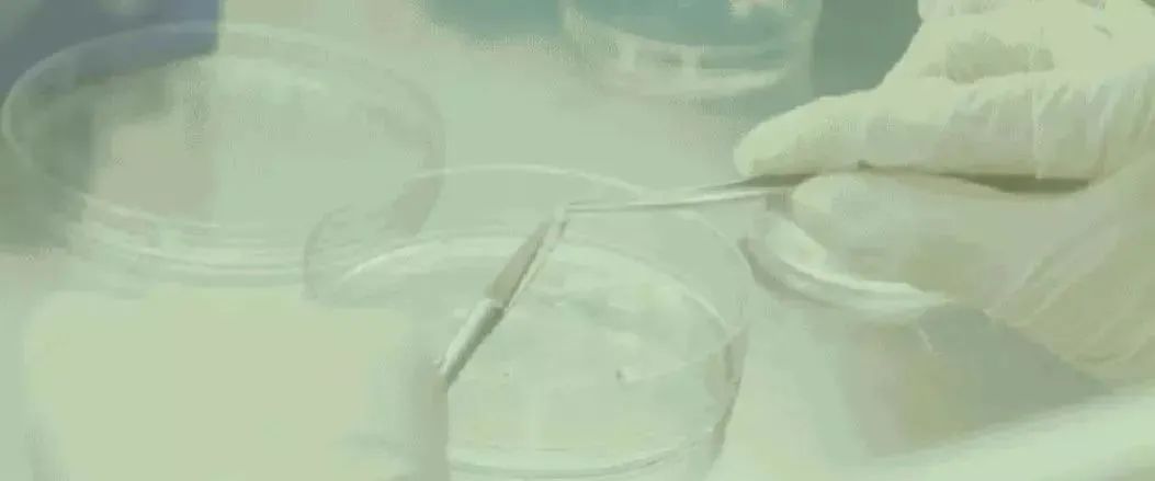 日本医疗,日本体检,日本美容,再生医疗,干细胞,美容,体检,医疗, 日本医疗,日本体检,日本美容,再生医疗,干细胞,美容,体检,医疗,