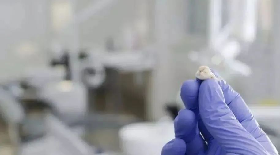 日本医疗,日本体检,日本美容,再生医疗,干细胞,美容,体检,医疗, 日本医疗,日本体检,日本美容,再生医疗,干细胞,美容,体检,医疗,